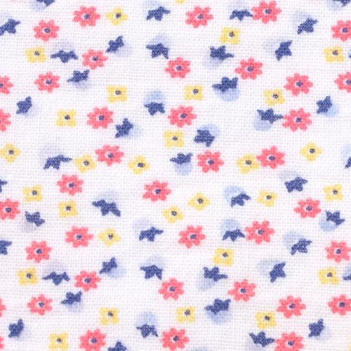 �t�B�[�h�T�b�N