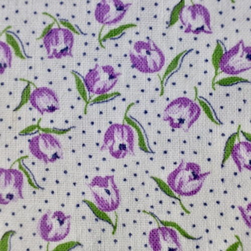 �t�B�[�h�T�b�N