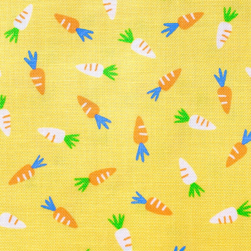 Farm Friends Carrots Sunshine